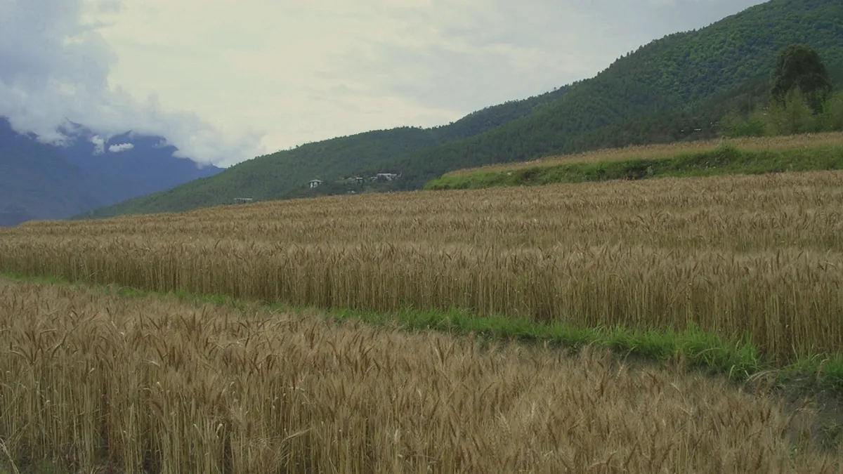 Bhutan landscape