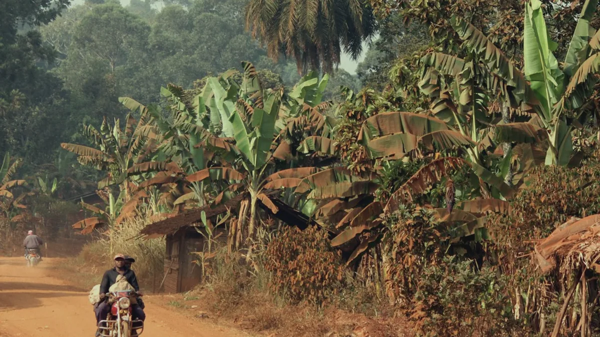 Cameroon landscape: the red dust covers all