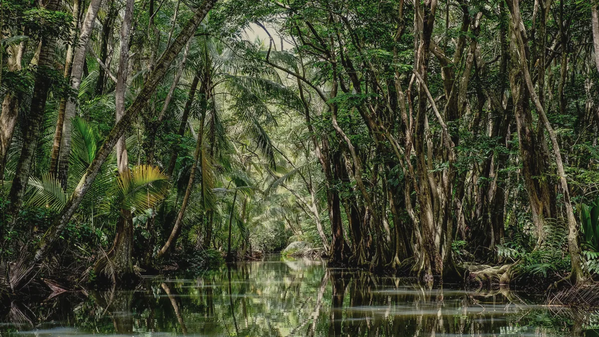 Mysterious Waters