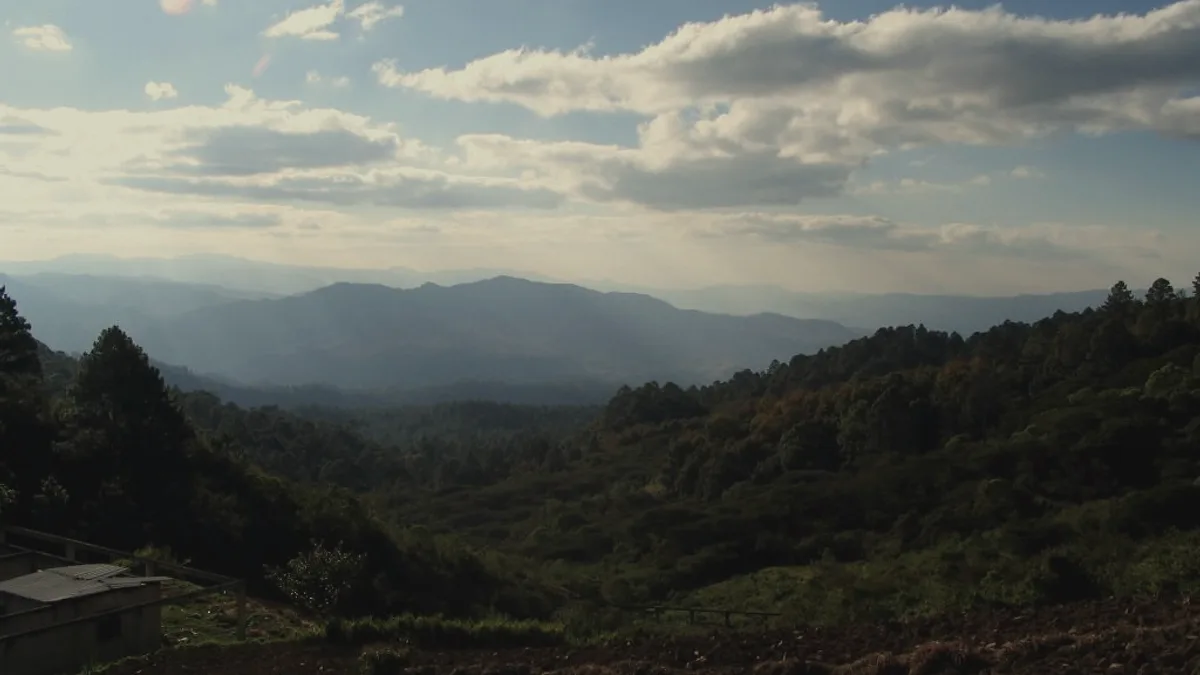 Honduras Landscape