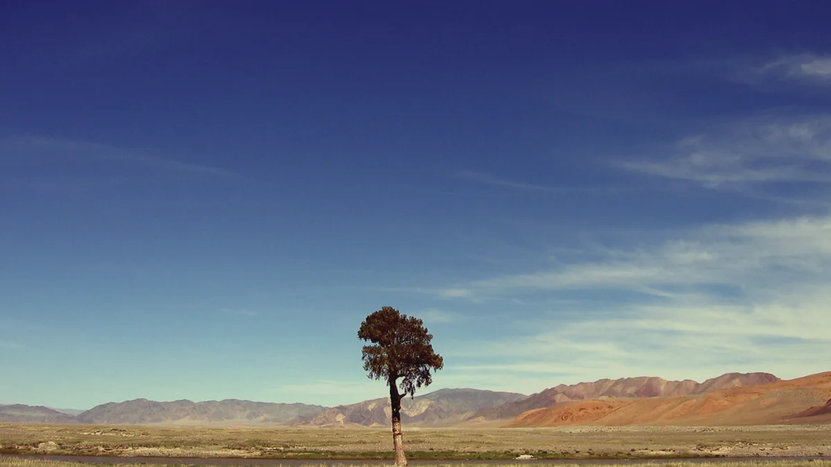 Lone Tree - Mongolia Landscape