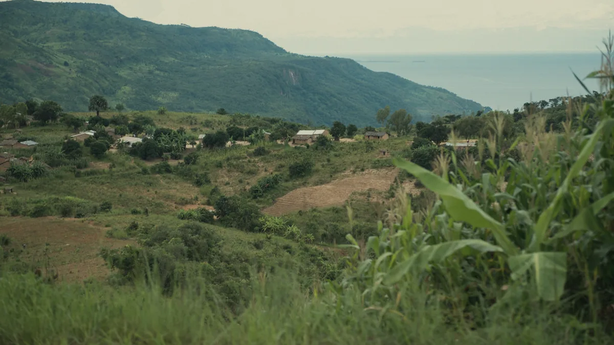 Malawi landscape