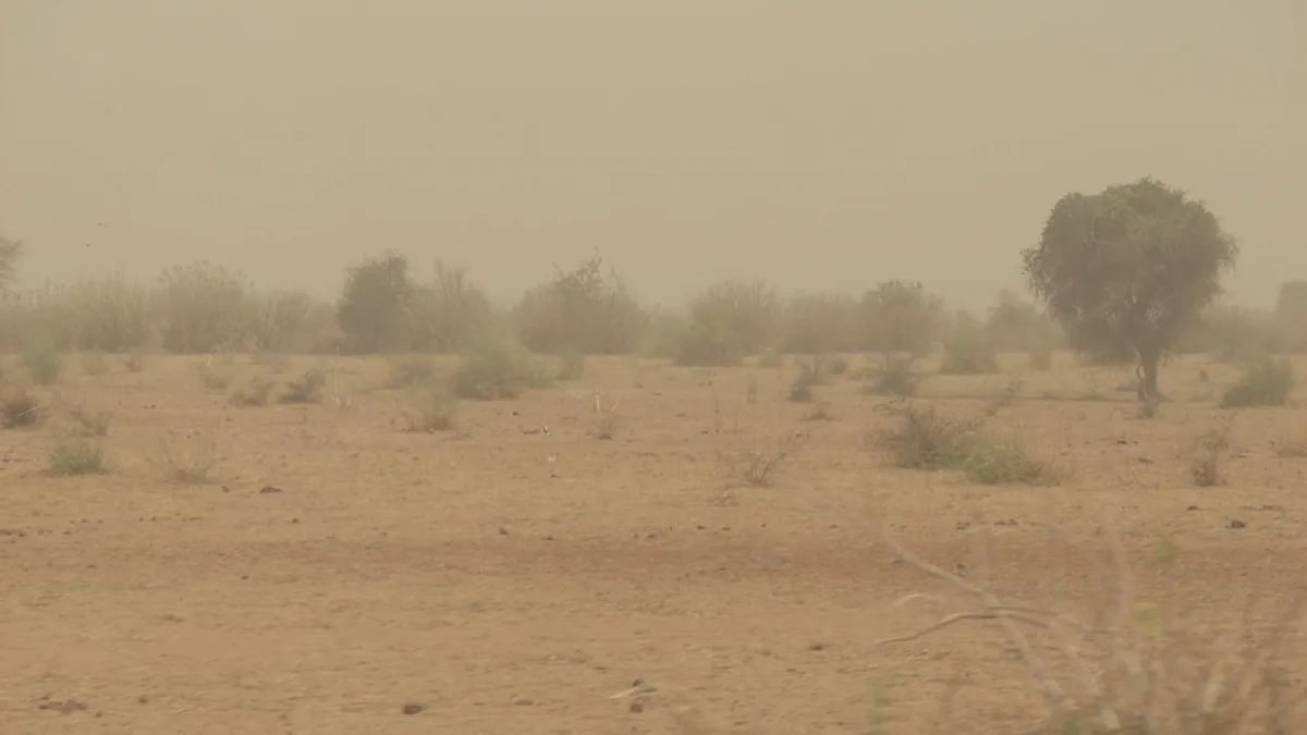 Senegal Landscape