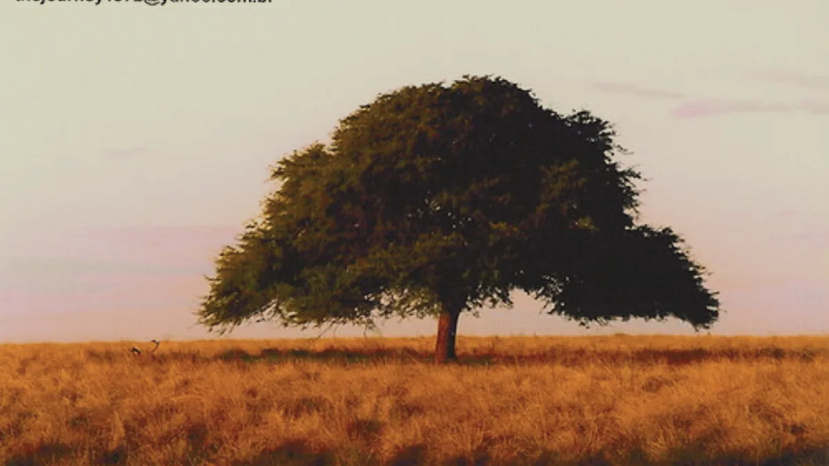 ARGENTINA: Sunset on the pampas