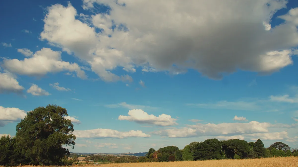 A New South Wales Landscape