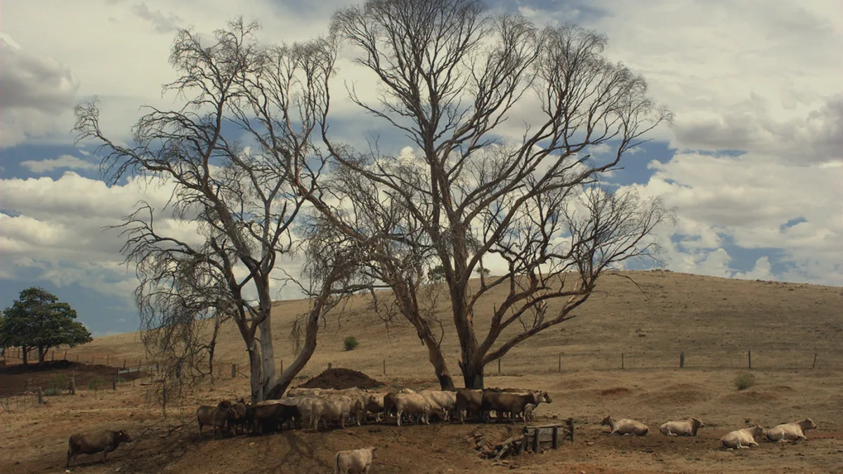 South Australia landscape