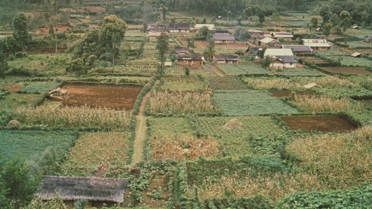 Java landscape